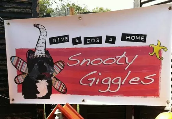 Snooty Giggles Dog Rescue, Tennessee, Franklin